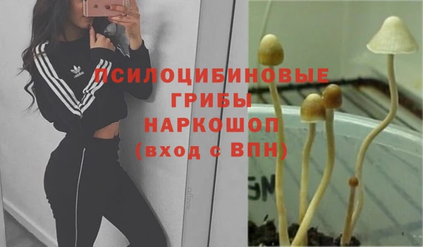 мяу мяу кристалл Осинники