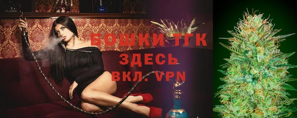 мяу мяу кристалл Осинники
