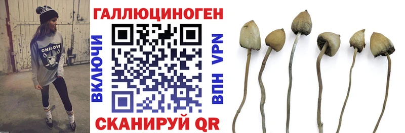 Галлюциногенные грибы Cubensis  Купить закладки  Мелеуз 